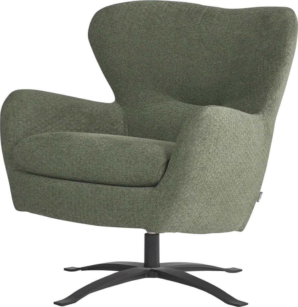 Fauteuil Tessel Dyyk 5